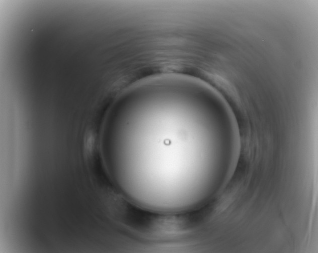 X0000089890123200707051235