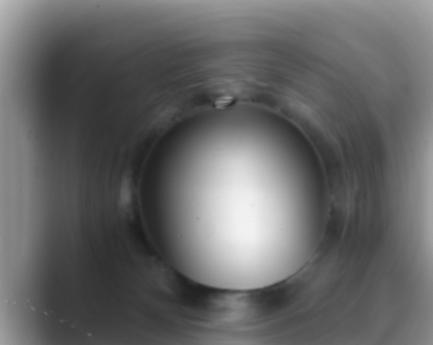 X0000089890132200707051235