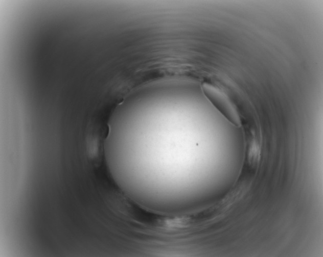 X0000089890134200707051235