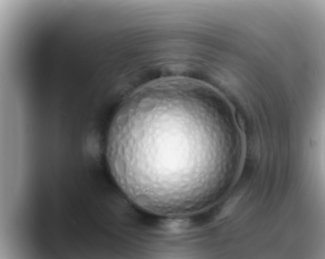 X0000089890135200707051235