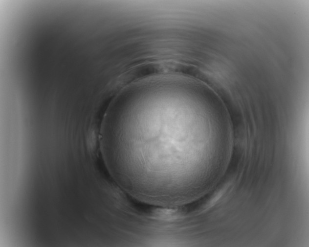 X0000089890139200707051235