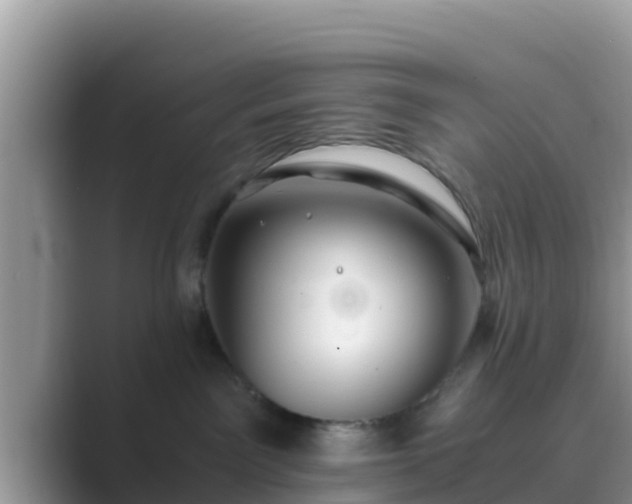 X0000089890141200707051235