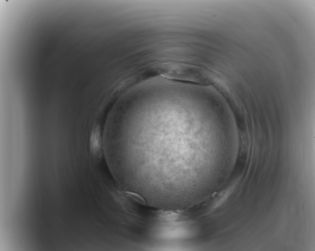 X0000089890143200707051235