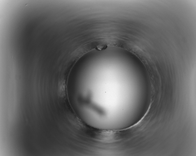 X0000089890144200707051235