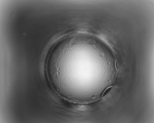 X0000089890151200707051235