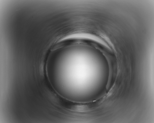 X0000089890154200707051235