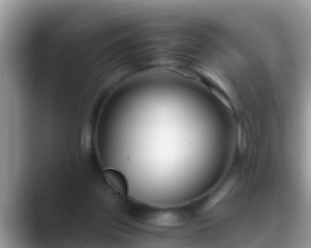 X0000089890157200707051235