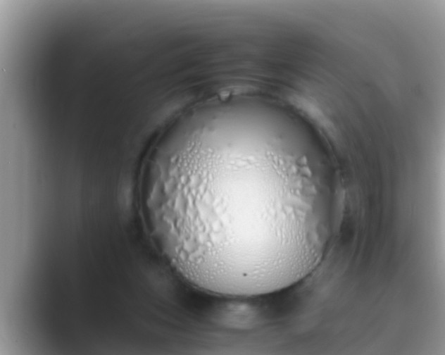 X0000089890159200707051235