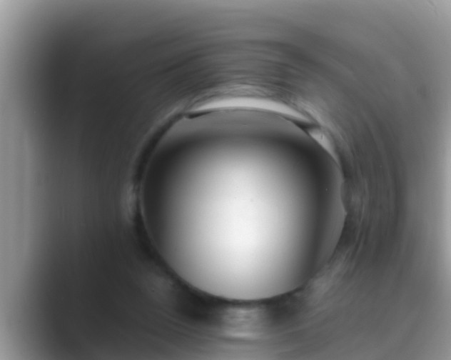 X0000089890160200707051235