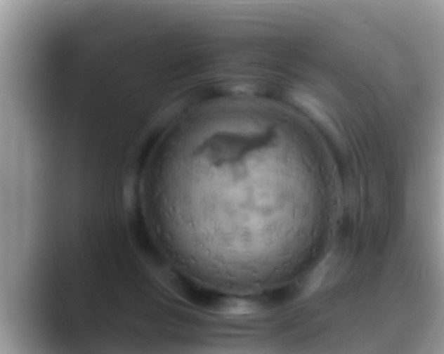 X0000089890167200707051235