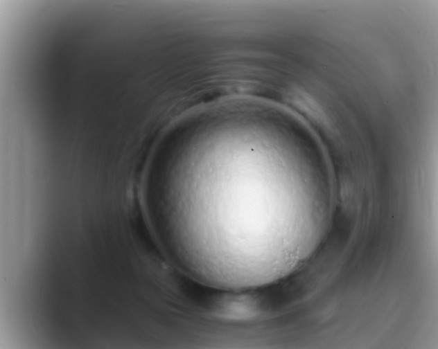 X0000089890169200707051235