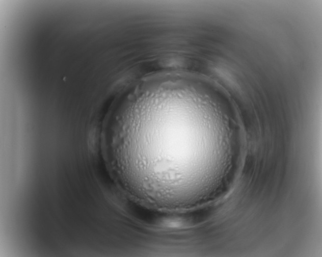 X0000089890171200707051235