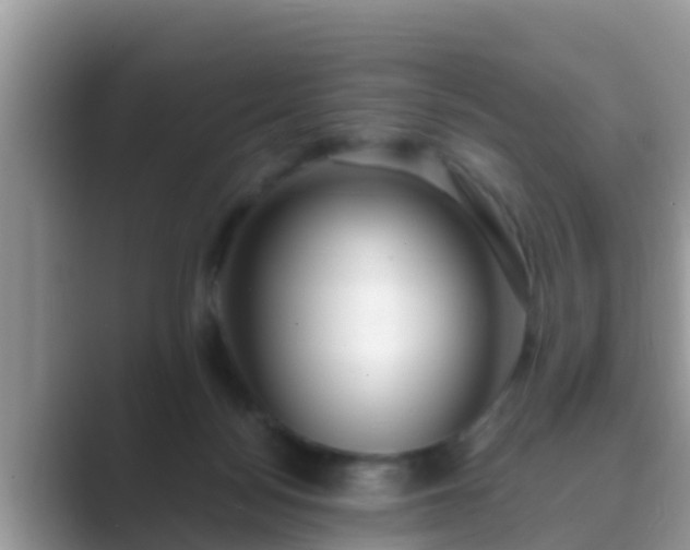 X0000089890172200707051235