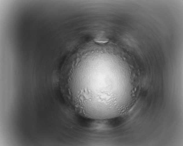 X0000089890179200707051235