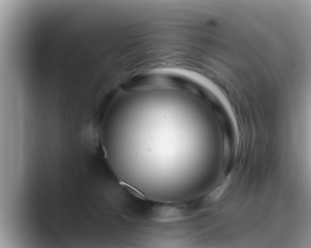 X0000089890180200707051235