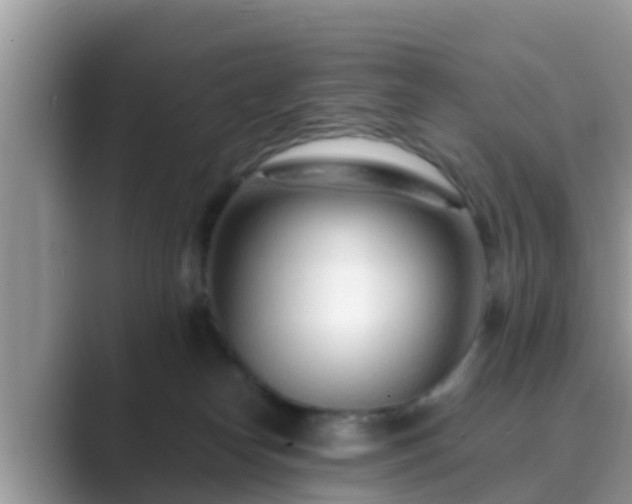 X0000089890182200707051235