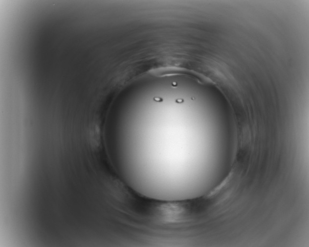 X0000089890183200707051235