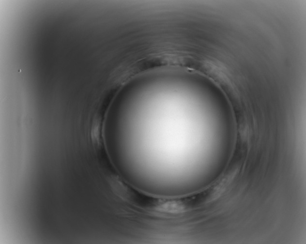 X0000089890185200707051235