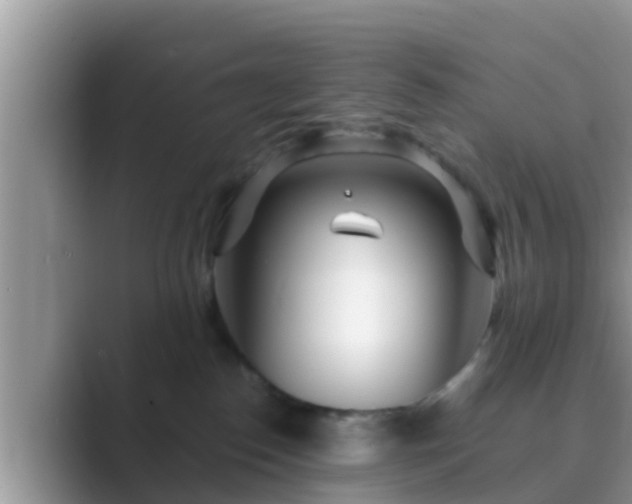 X0000089890186200707051235