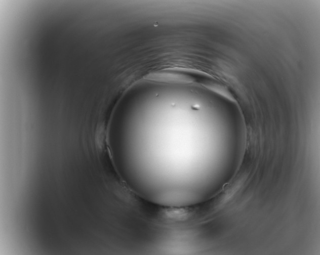 X0000089890189200707051235