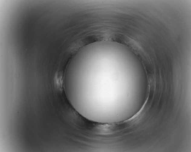 X0000089890190200707051235