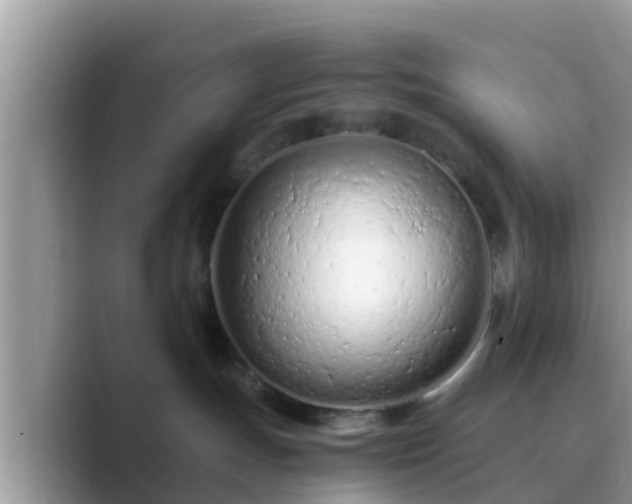 X0000089890191200707051235