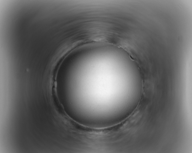 X0000089890194200707051234