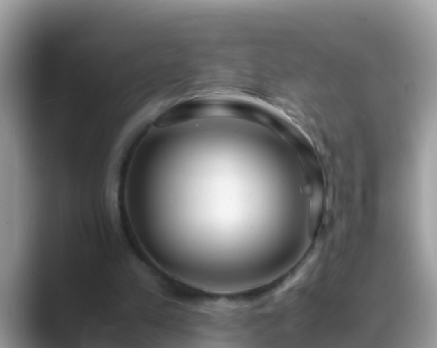 X0000089890197200707051234