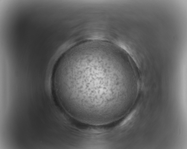 X0000089890199200707051234