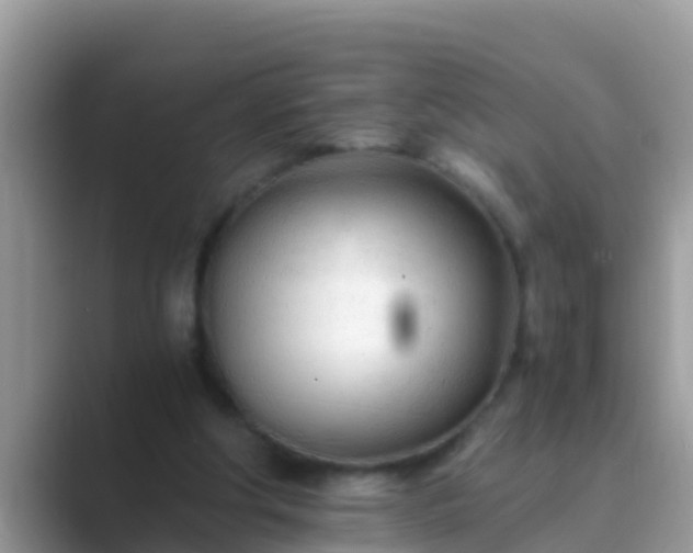 X0000089890202200707051234