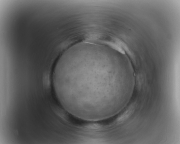 X0000089890203200707051234