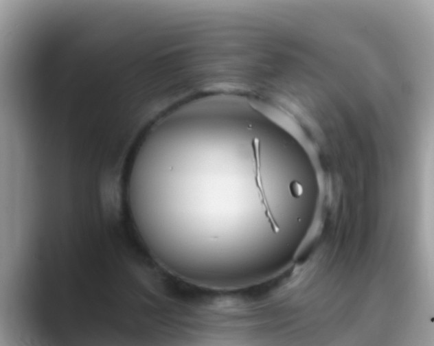 X0000089890204200707051234