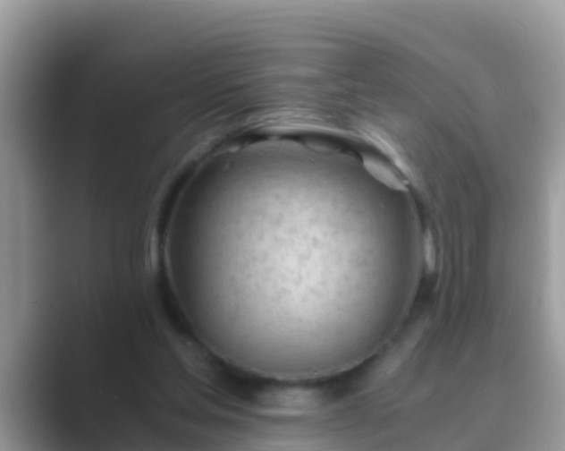 X0000089890205200707051234