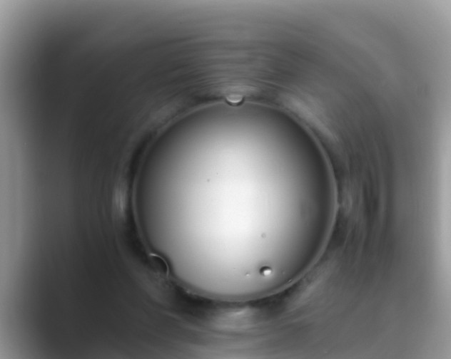 X0000089890206200707051234