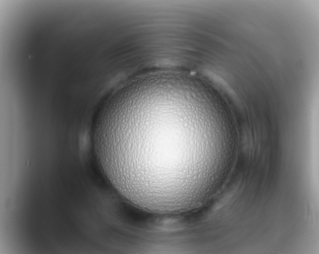 X0000089890208200707051234