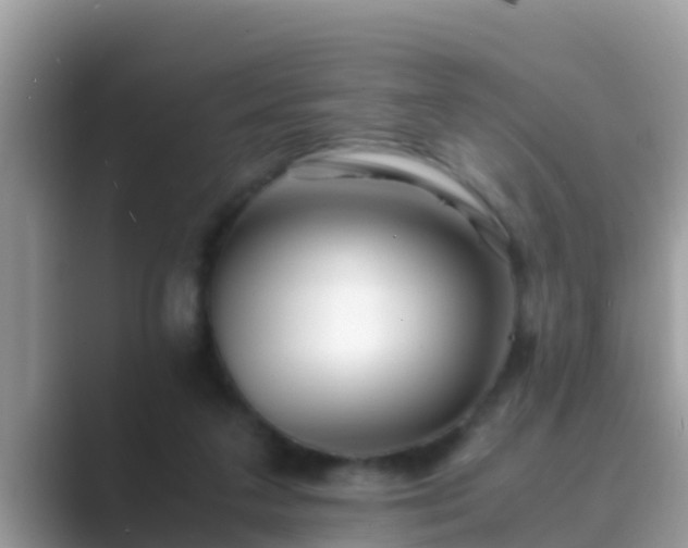 X0000089890211200707051234