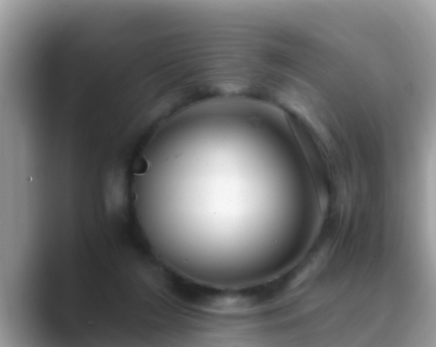 X0000089890212200707051234