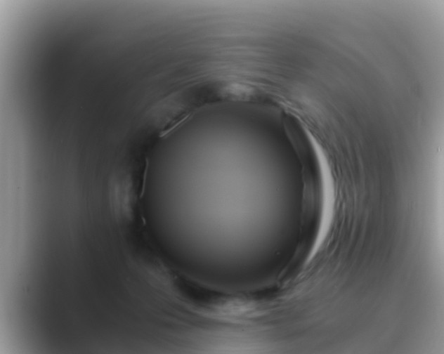 X0000089890223200707051234