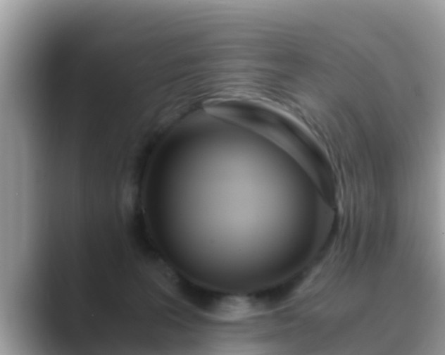 X0000089890227200707051234