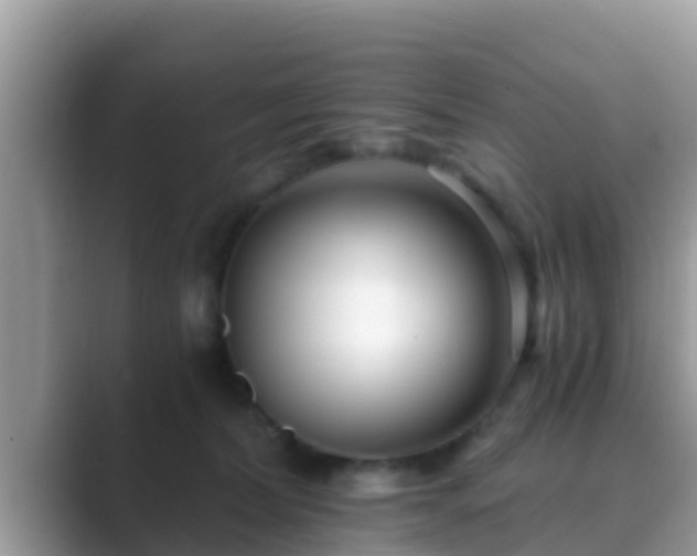 X0000089890228200707051234