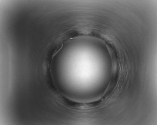 X0000089890229200707051234