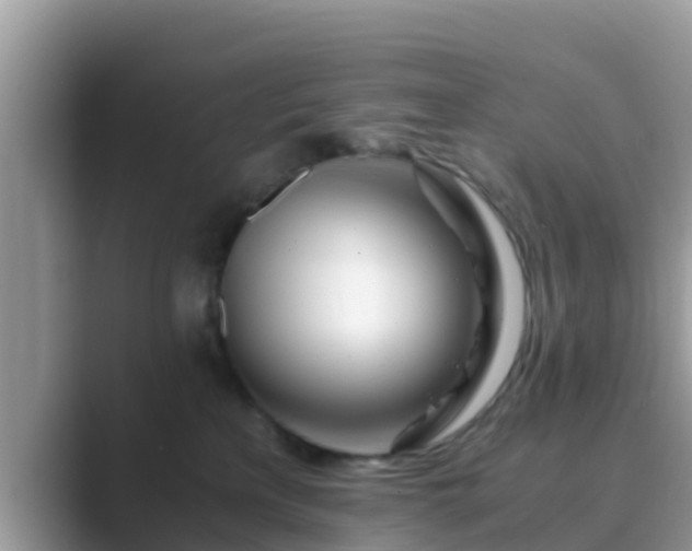 X0000089890233200707051234