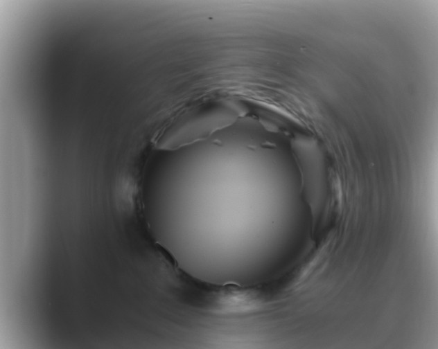 X0000089890235200707051234