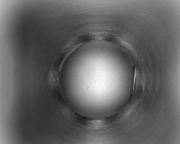 X0000089890237200707051234