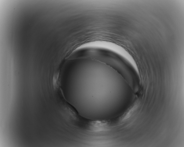 X0000089890239200707051234