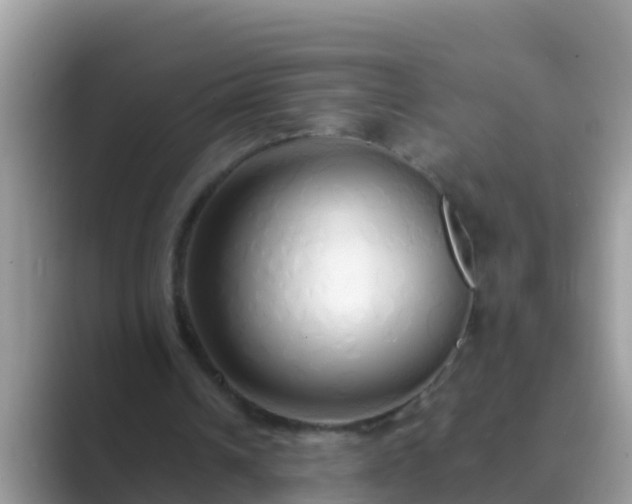 X0000089890242200707051233