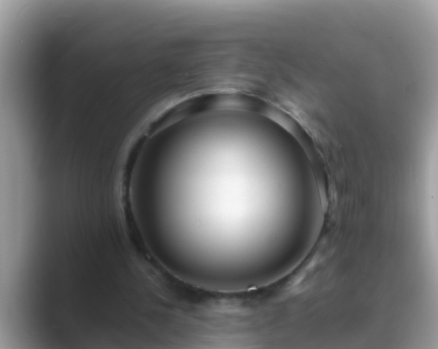 X0000089890244200707051233