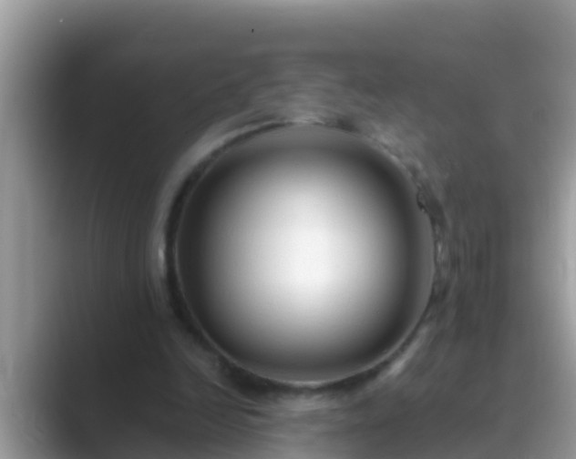 X0000089890246200707051233