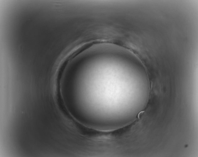 X0000089890247200707051233