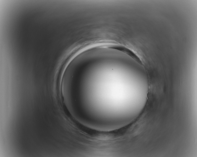 X0000089890248200707051233